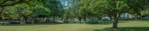 Chermside Real Estate