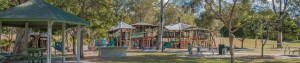 Lutwyche Real Estate