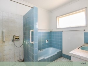 bluebathroom